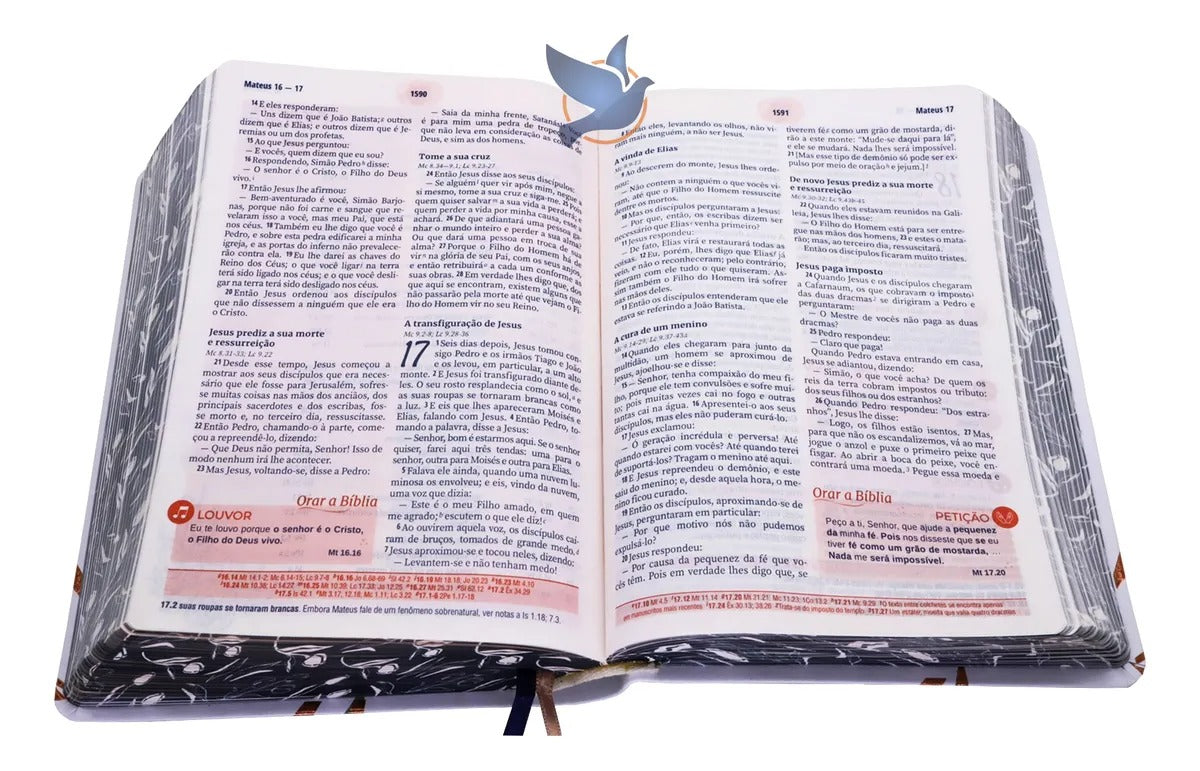 Bíblia Da Mulher Nova Edição Estudo E Devocional - NAA 