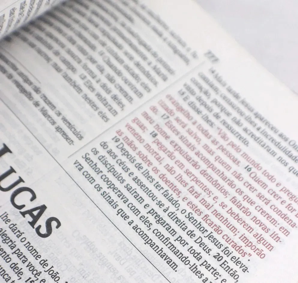 Bíblia Sagrada Leão de Judá - NVI 